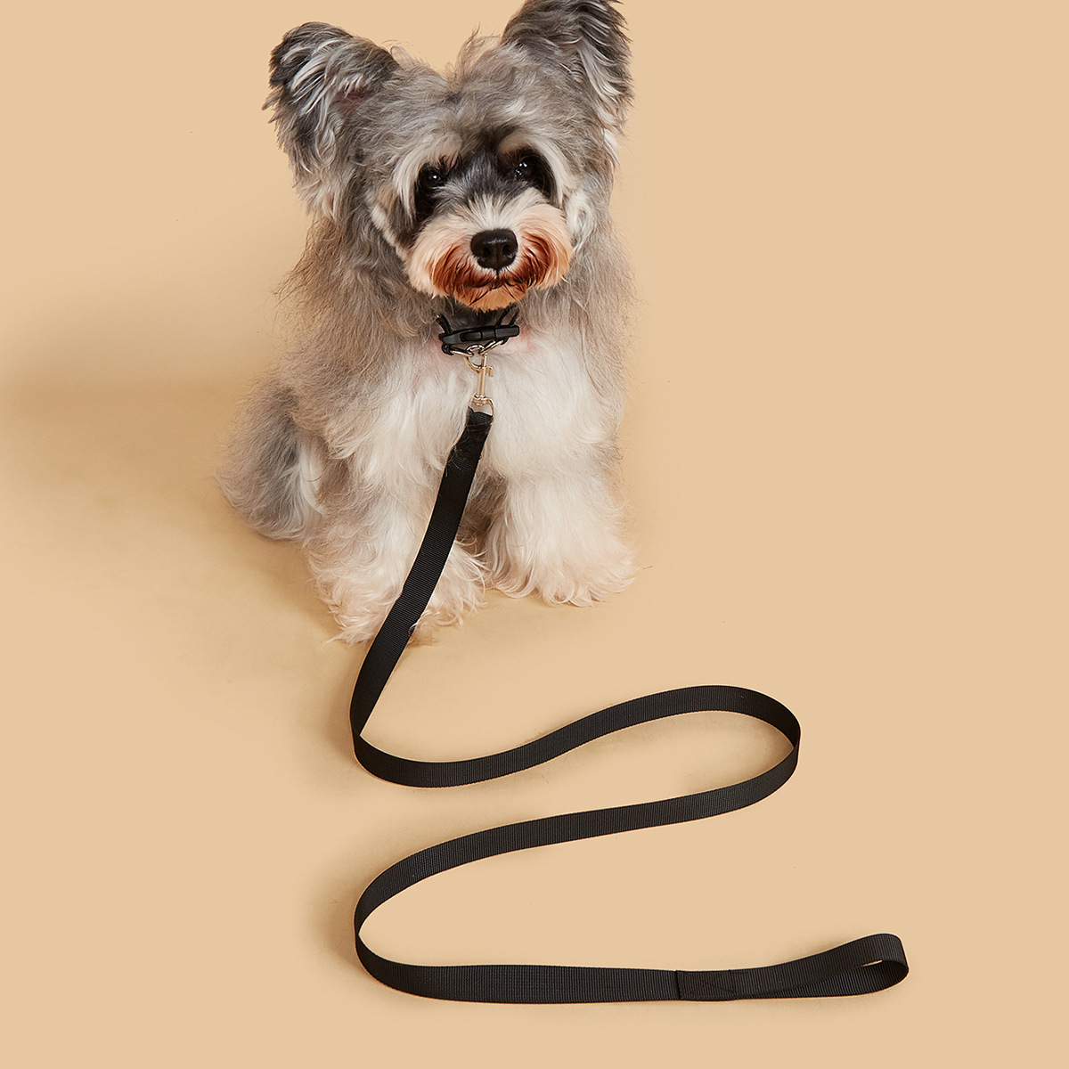 Pet Leash & Collar Set, Durabl - Headcollar Rope Set recension och pris