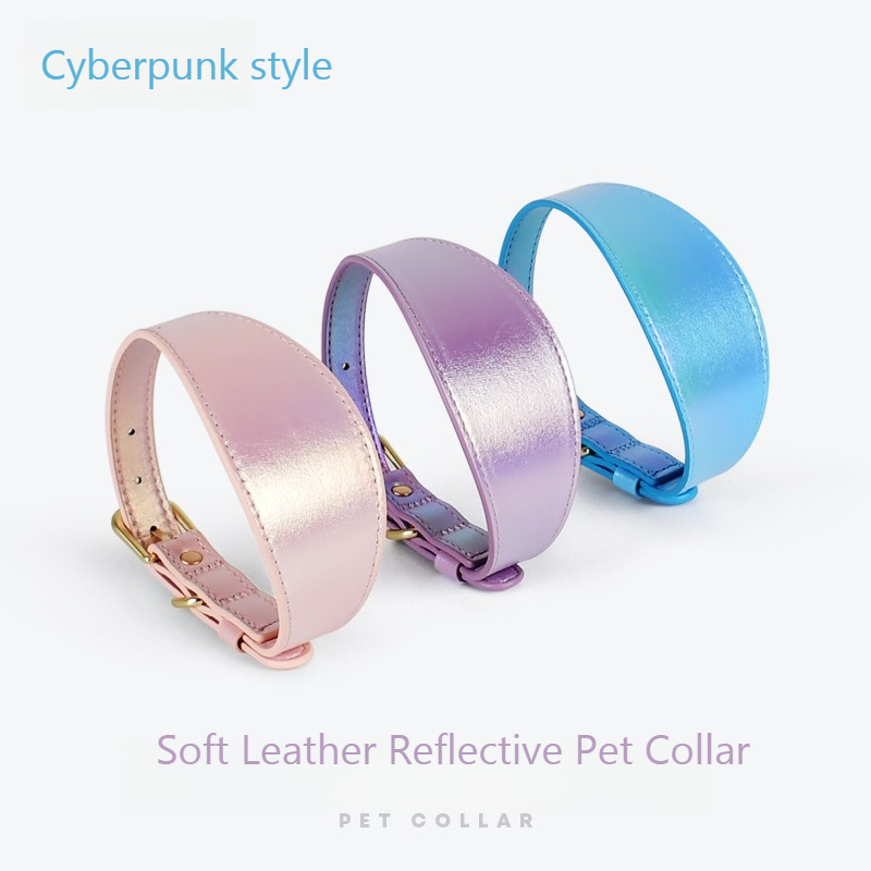 REFLECTIVE LEATHER DOG COLLAR  - Headcollar Rope Set recension och pris