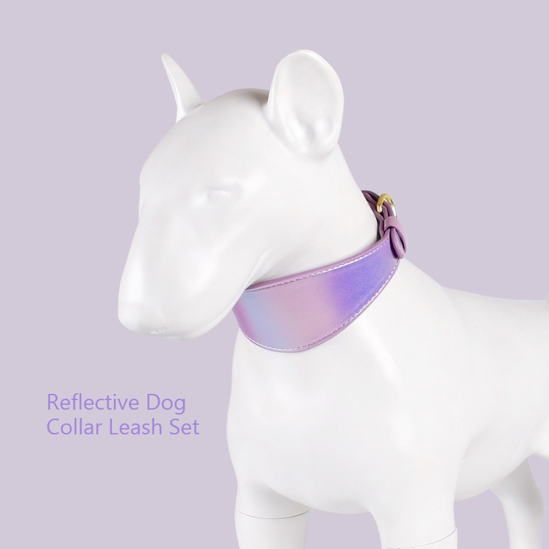 REFLECTIVE LEATHER DOG COLLAR  - Headcollar Rope Set recension och pris