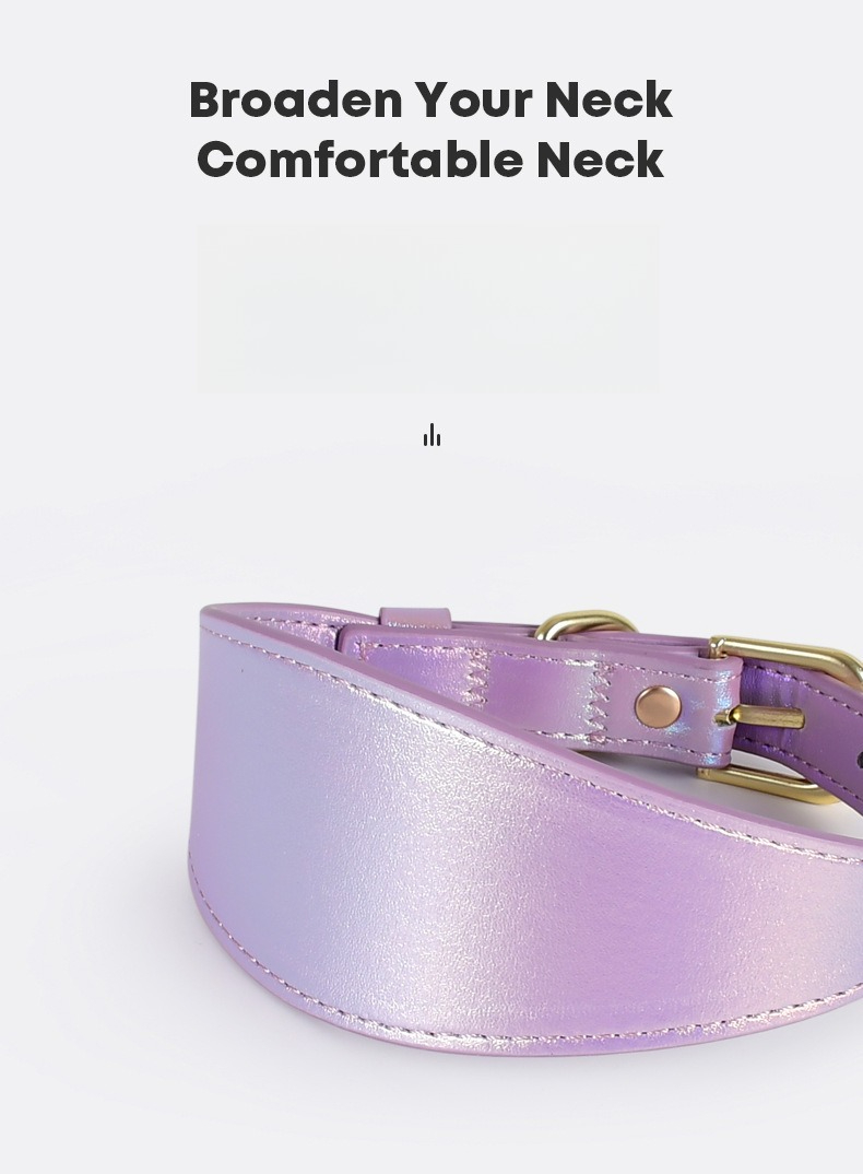 REFLECTIVE LEATHER DOG COLLAR  - Headcollar Rope Set recension och pris