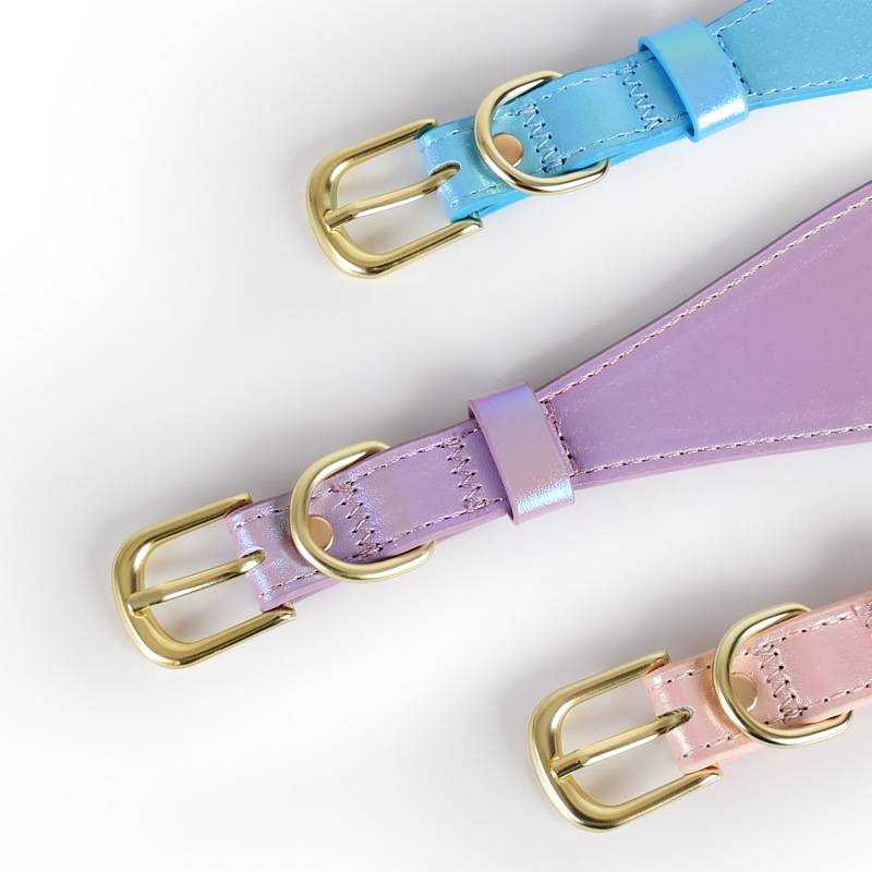 REFLECTIVE LEATHER DOG COLLAR  - Headcollar Rope Set recension och pris