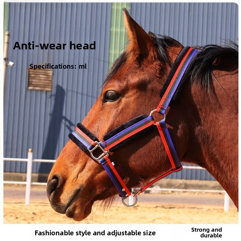 Wear‑Resistant Textile Horse H - Headcollar Rope Set recension och pris
