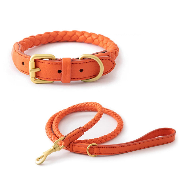 Adjustable Braided Leather Pet - Headcollar Rope Set recension och pris