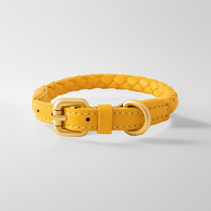 Adjustable Braided Leather Pet - Headcollar Rope Set recension och pris