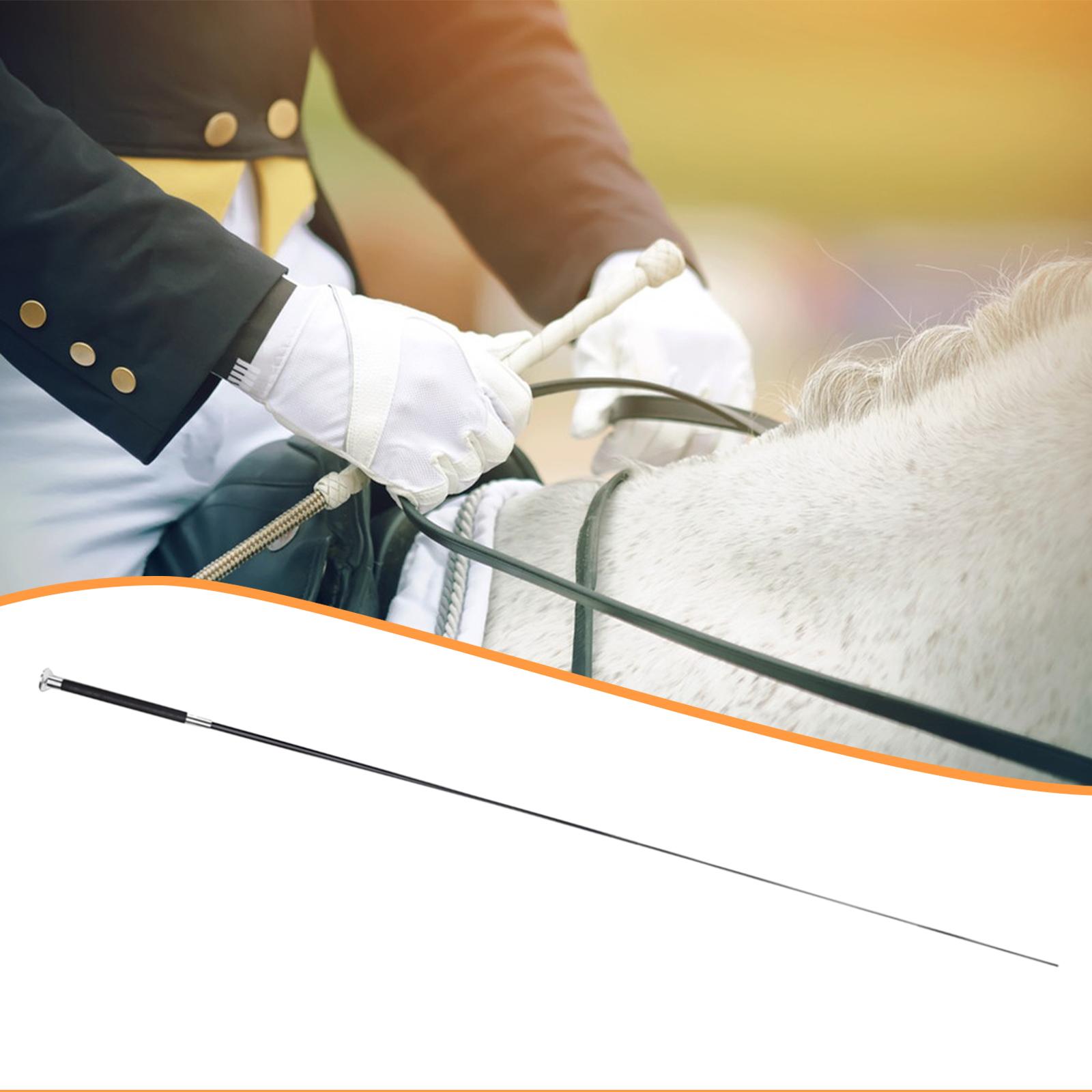 Equestrian Riding Crop Telesco - Riding Crop Dressage recension och pris
